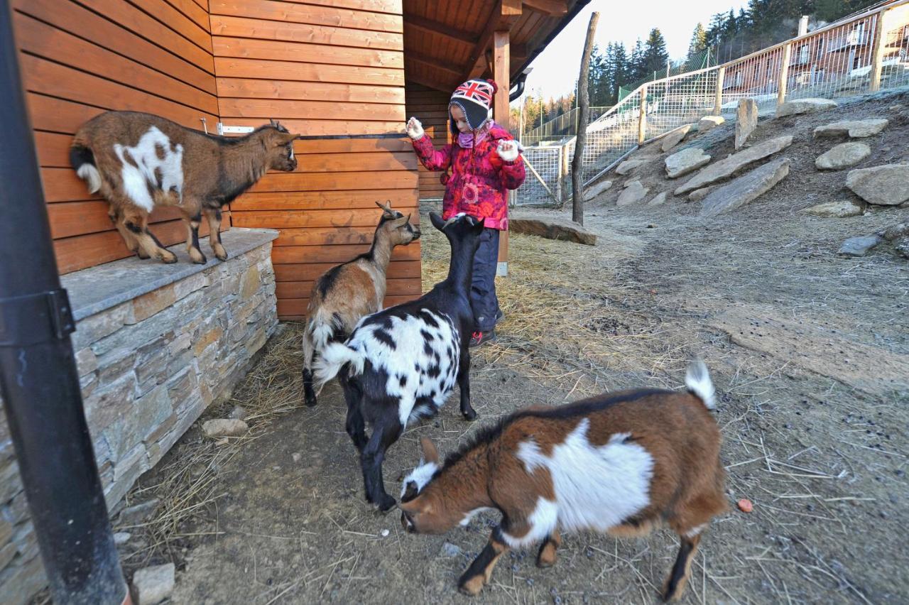 Vetrnik Depandance Hotelu Jirinka Dolní Morava Buitenkant foto